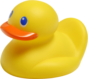 Rubber duck PNG-45706